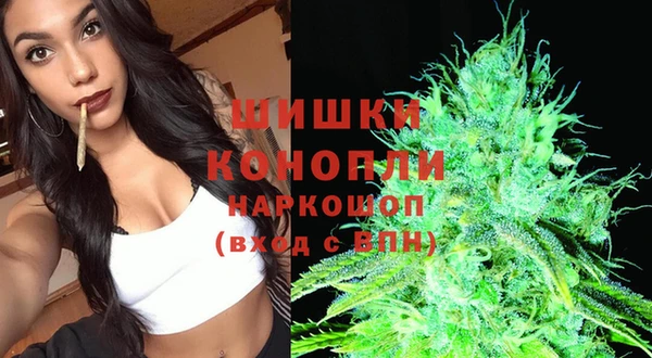 прущая мука Нея