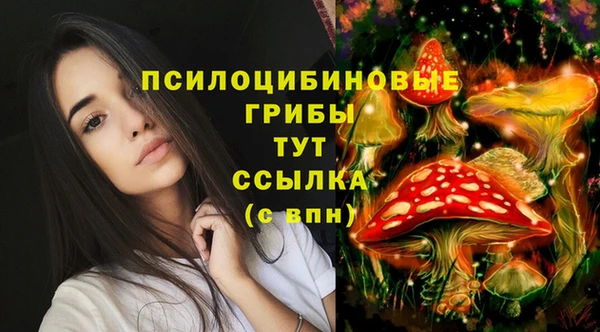 СК Нефтегорск