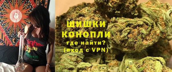прущая мука Нея