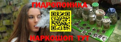 гашик Гусев