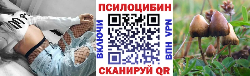 Псилоцибиновые грибы Cubensis Норильск