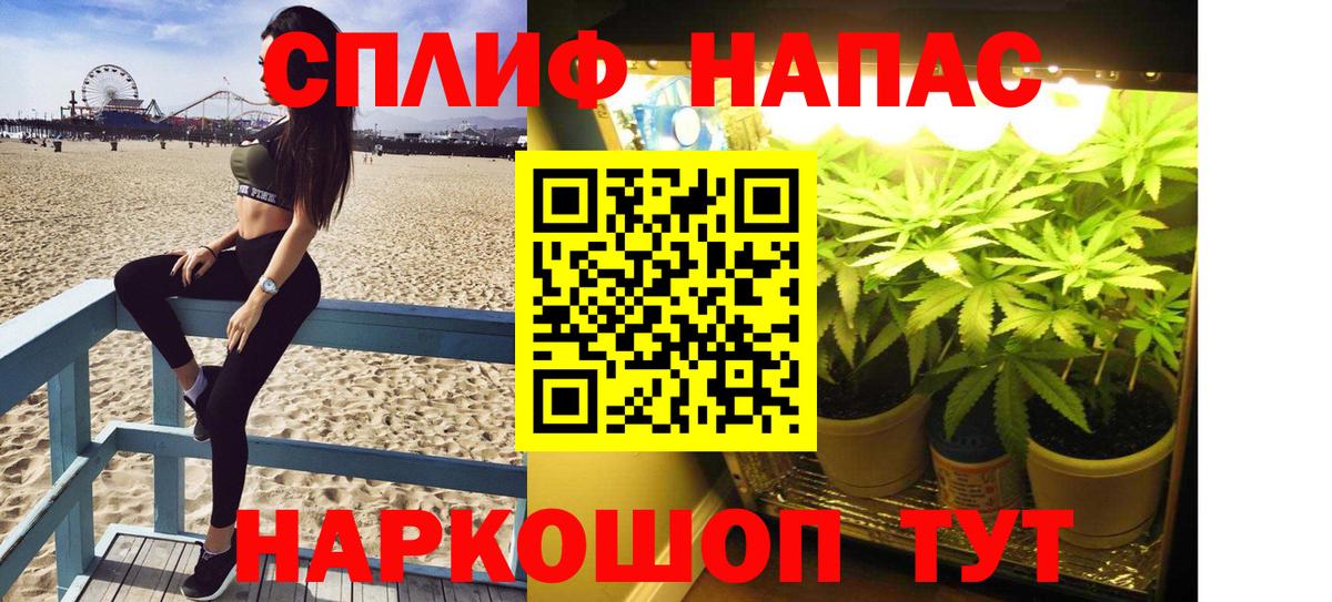 Марихуана сатива Норильск